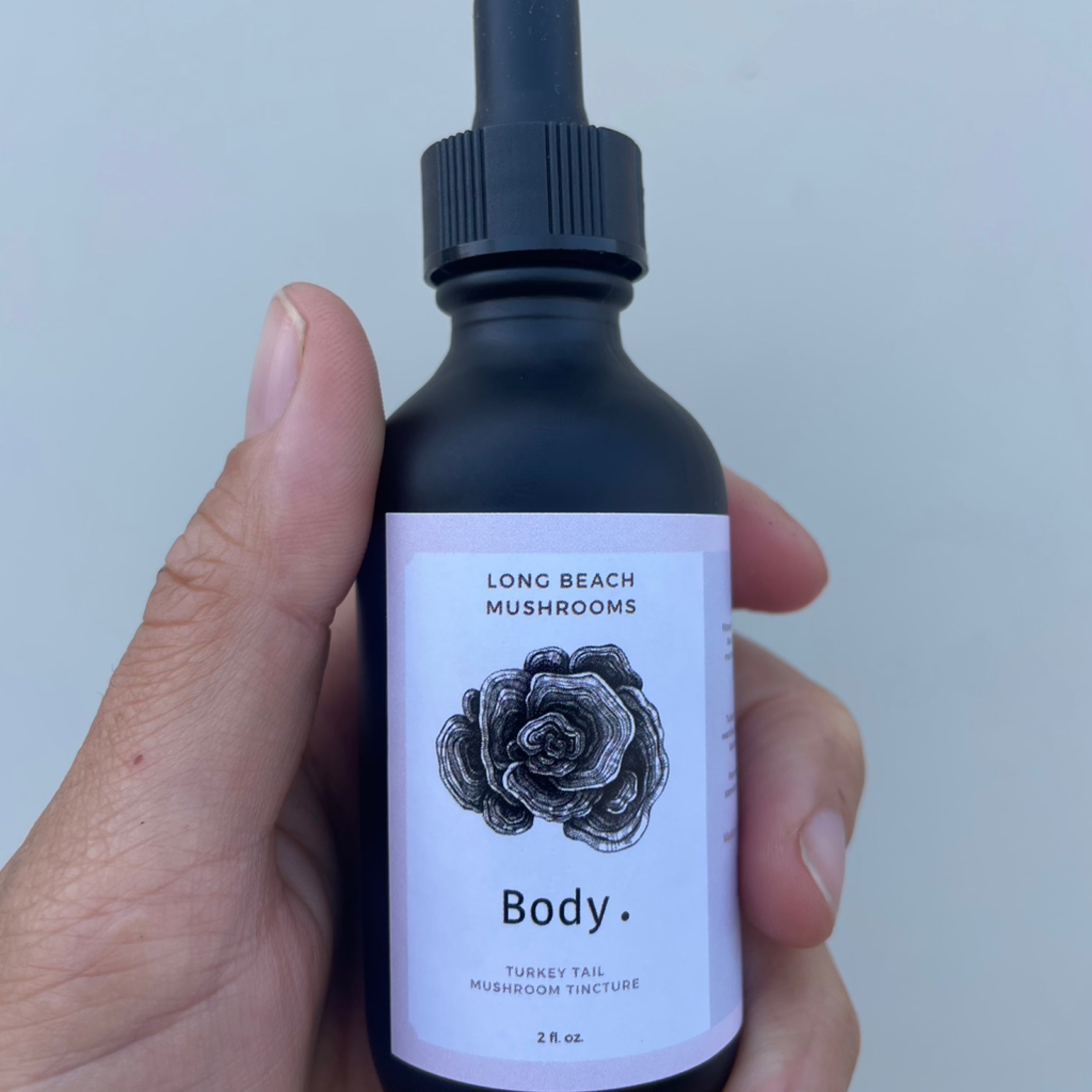 How To Use Turkey Tail Tincture How To Use Turkey Tail Tincture